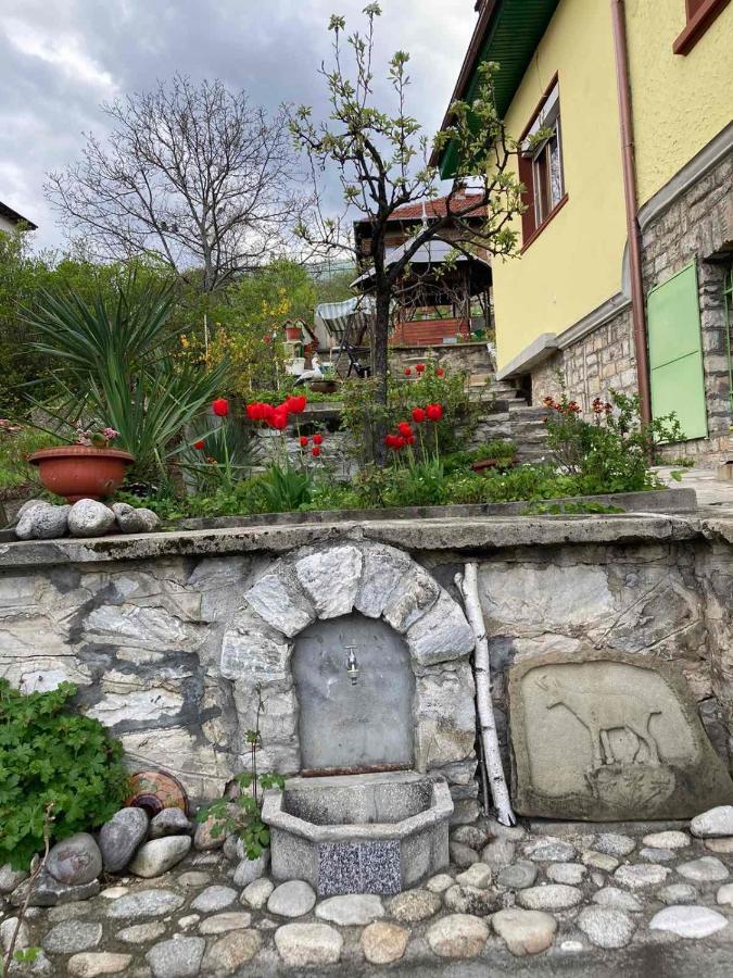 Vila Venera Velingrad Exteriér fotografie